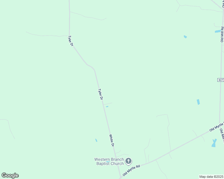 map of restaurants, bars, coffee shops, grocery stores, and more near 4420 White Drive in Suffolk