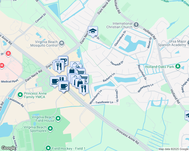 map of restaurants, bars, coffee shops, grocery stores, and more near 3216 Crocus Lane in Virginia Beach