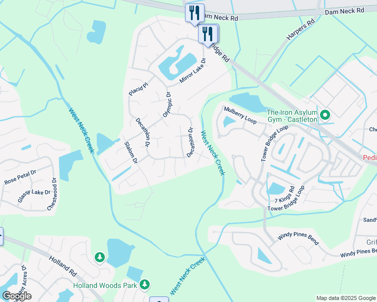 map of restaurants, bars, coffee shops, grocery stores, and more near 1953 Decathlon Drive in Virginia Beach