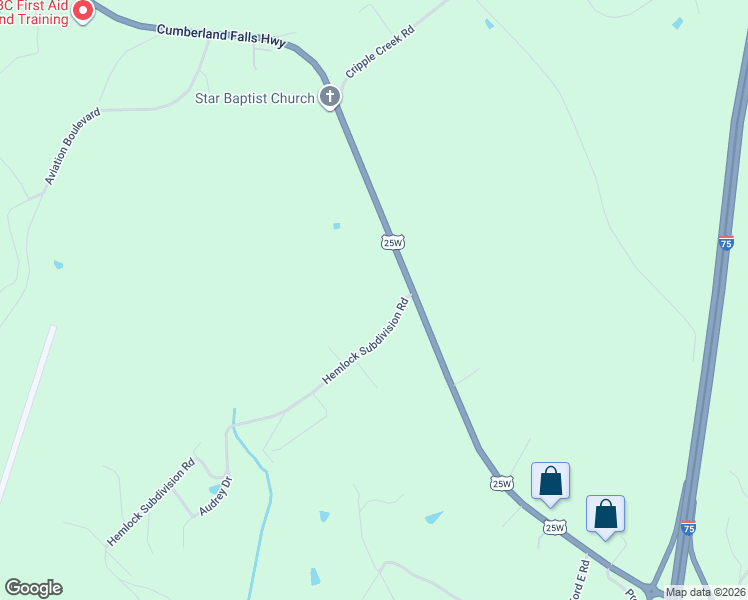 map of restaurants, bars, coffee shops, grocery stores, and more near 20 Hemlock Street in Williamsburg