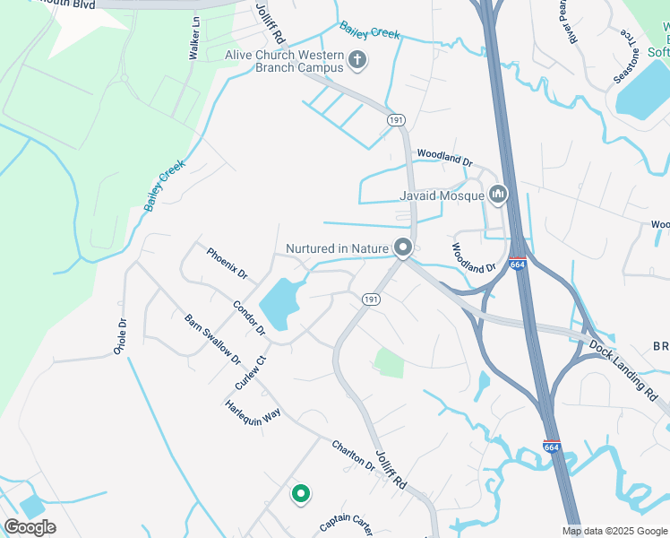 map of restaurants, bars, coffee shops, grocery stores, and more near 4708 Tanager Crossing in Chesapeake