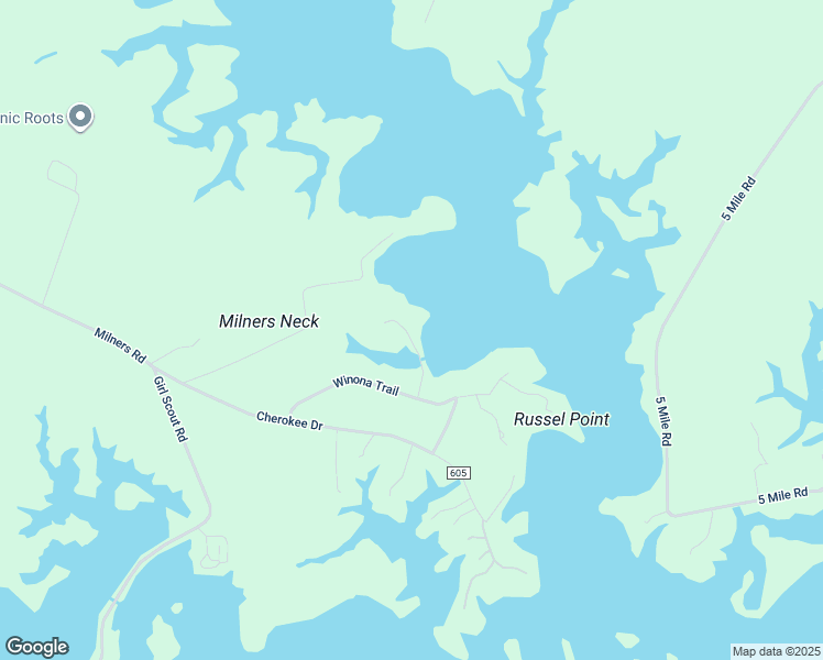 map of restaurants, bars, coffee shops, grocery stores, and more near 4421 Clear Brook Lane in Suffolk