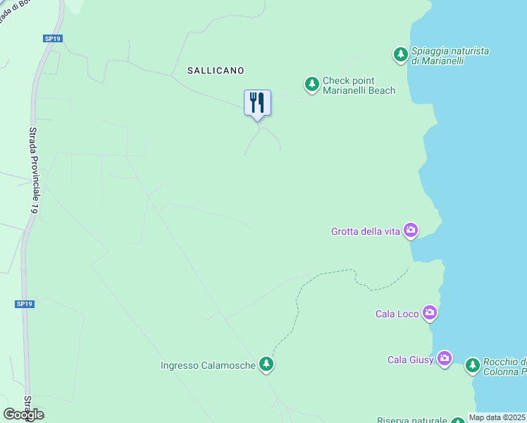map of restaurants, bars, coffee shops, grocery stores, and more near in Free municipal consortium of Syracuse