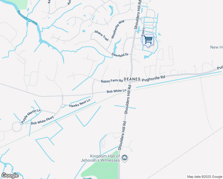 map of restaurants, bars, coffee shops, grocery stores, and more near 207 Gum Court in Suffolk