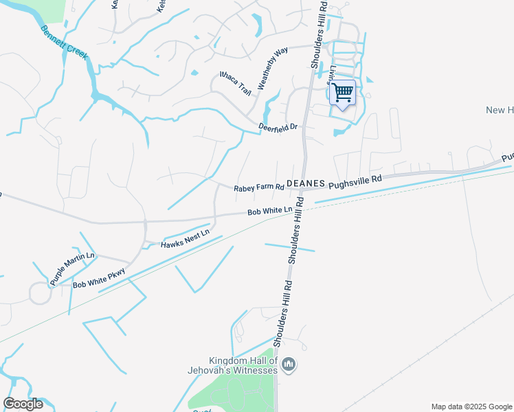 map of restaurants, bars, coffee shops, grocery stores, and more near 207 Gum Court in Suffolk
