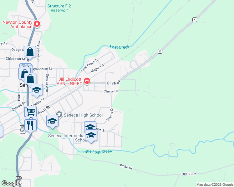 map of restaurants, bars, coffee shops, grocery stores, and more near 1607 Skyline Drive in Seneca