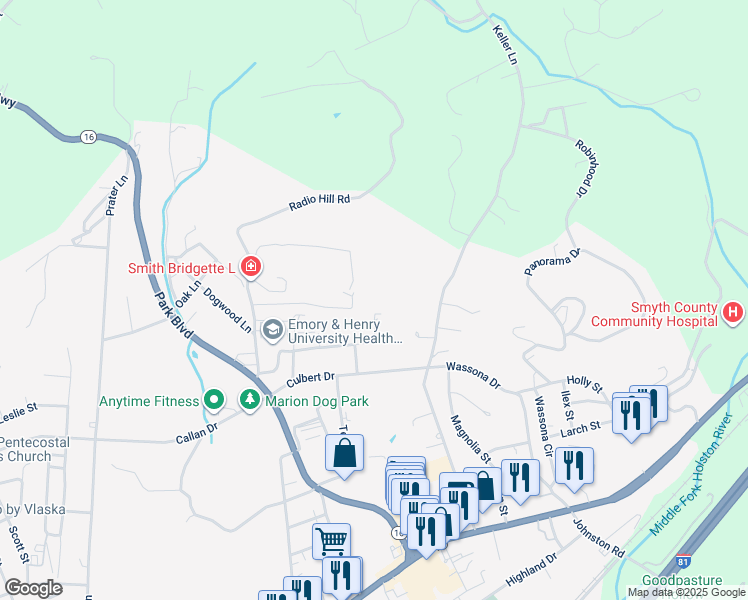 map of restaurants, bars, coffee shops, grocery stores, and more near 201 Francis Marion Lane in Marion