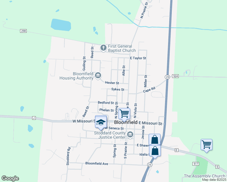 map of restaurants, bars, coffee shops, grocery stores, and more near 305 Sykes Street in Bloomfield