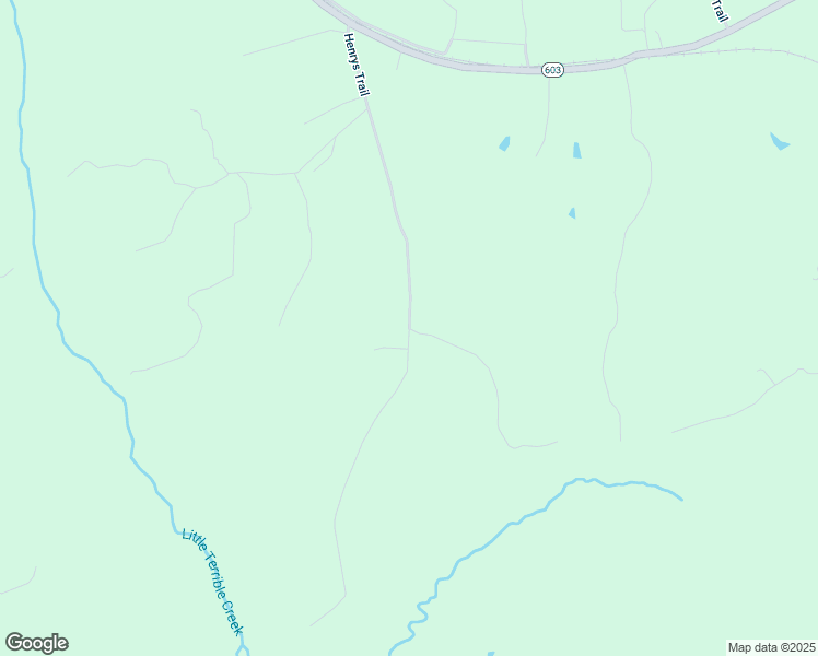 map of restaurants, bars, coffee shops, grocery stores, and more near Henrys Trail in Halifax County