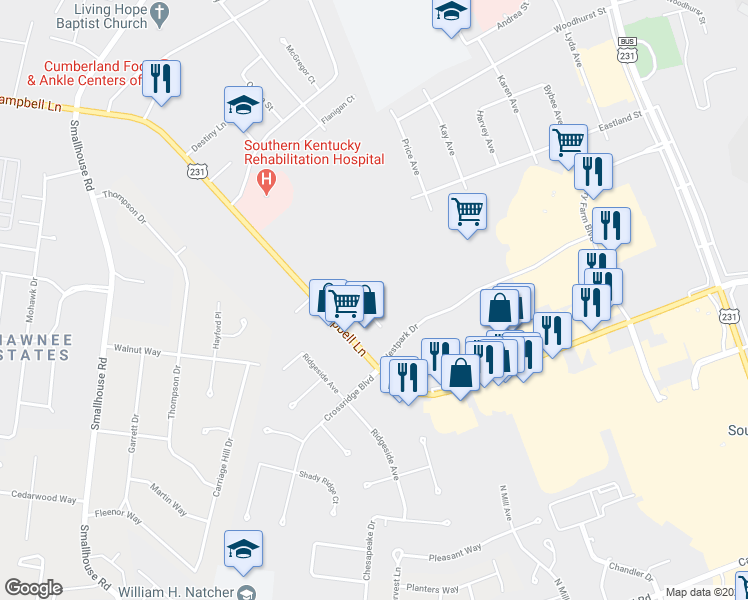 map of restaurants, bars, coffee shops, grocery stores, and more near 101 Pinnacle Point Avenue in Bowling Green