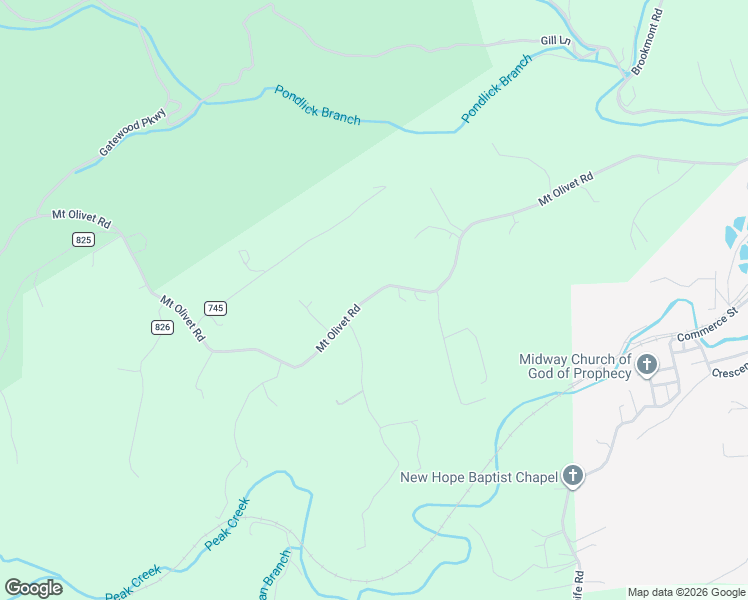 map of restaurants, bars, coffee shops, grocery stores, and more near 2899 Mount Olivet Road in Pulaski