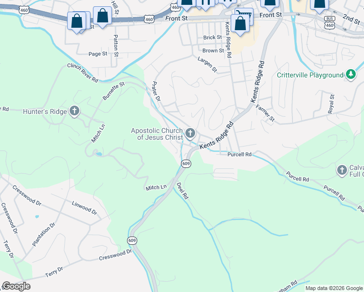 map of restaurants, bars, coffee shops, grocery stores, and more near Carter St in Richlands