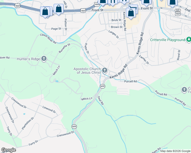 map of restaurants, bars, coffee shops, grocery stores, and more near Carter St in Richlands