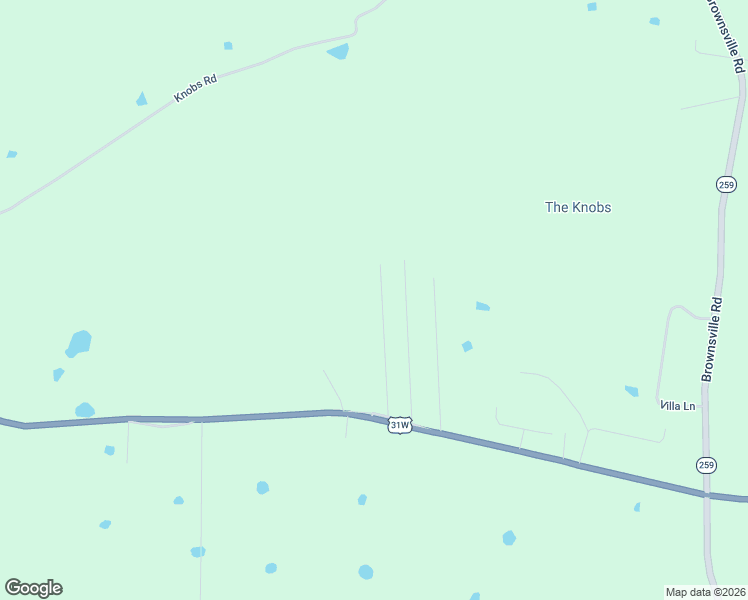 map of restaurants, bars, coffee shops, grocery stores, and more near 117-399 Lavender Road in Smiths Grove