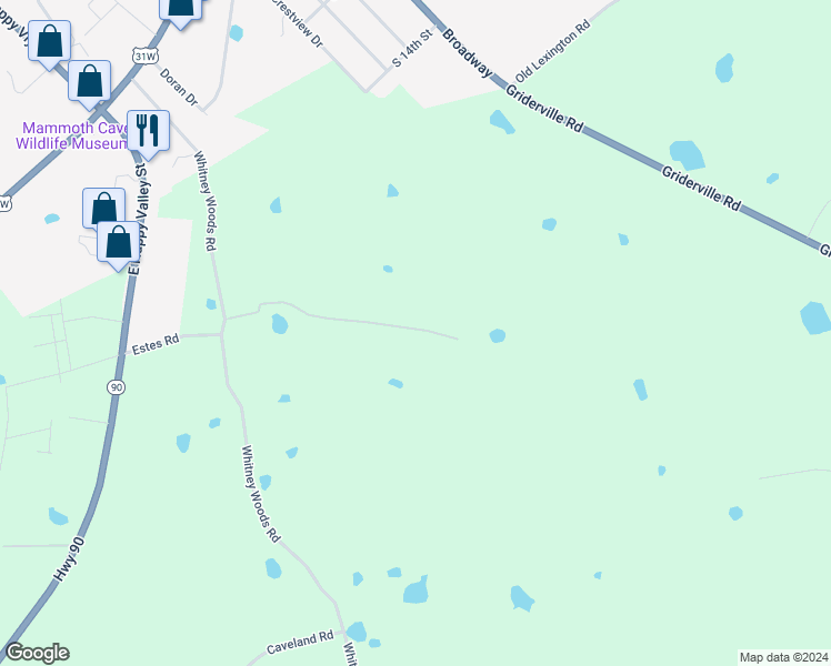 map of restaurants, bars, coffee shops, grocery stores, and more near in Cave City