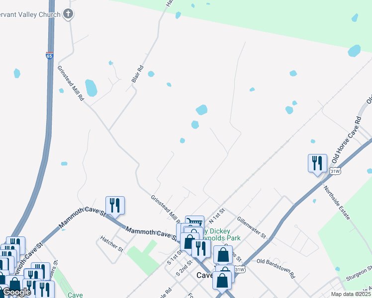 map of restaurants, bars, coffee shops, grocery stores, and more near 400 Alexander Avenue in Cave City
