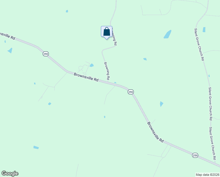 map of restaurants, bars, coffee shops, grocery stores, and more near 31 Carnation Lane in Brownsville