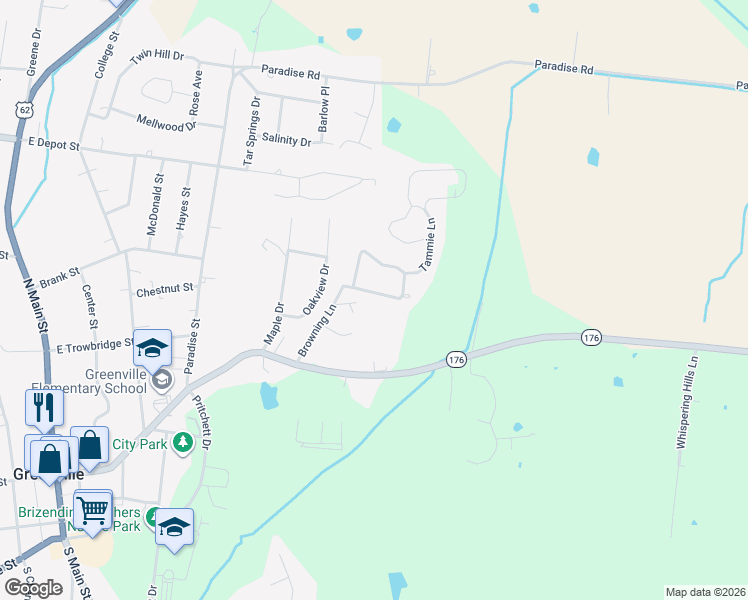 map of restaurants, bars, coffee shops, grocery stores, and more near 1-199 Tammie Lane in Greenville