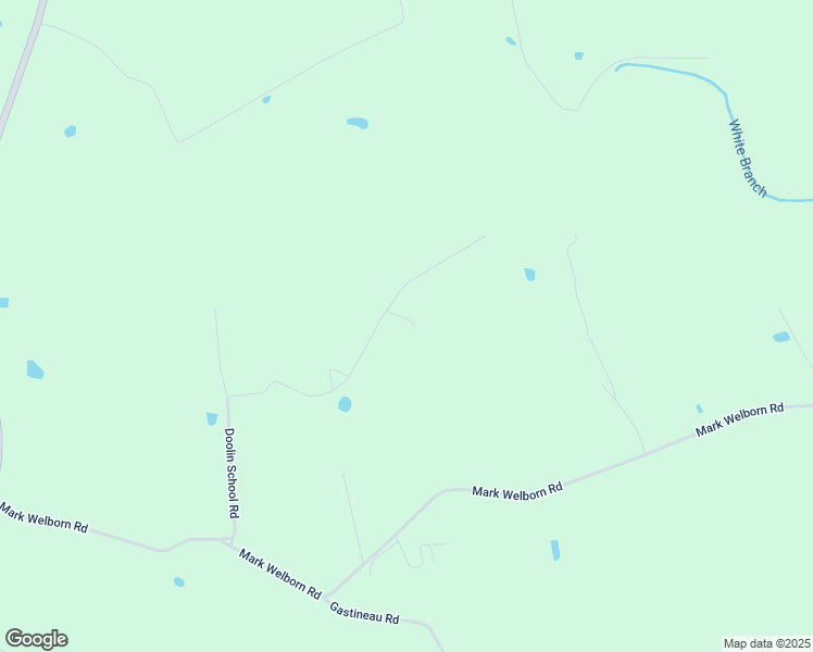 map of restaurants, bars, coffee shops, grocery stores, and more near 790 Doolin School Road in Somerset