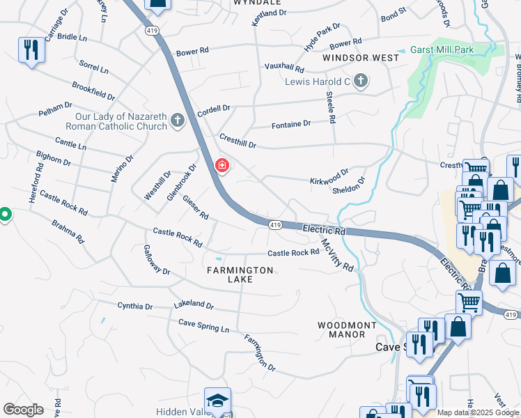 map of restaurants, bars, coffee shops, grocery stores, and more near 2754 Electric Road in Roanoke
