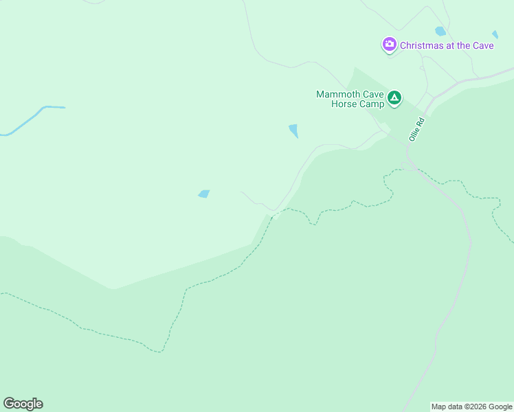 map of restaurants, bars, coffee shops, grocery stores, and more near 589 Clell Road in Mammoth Cave