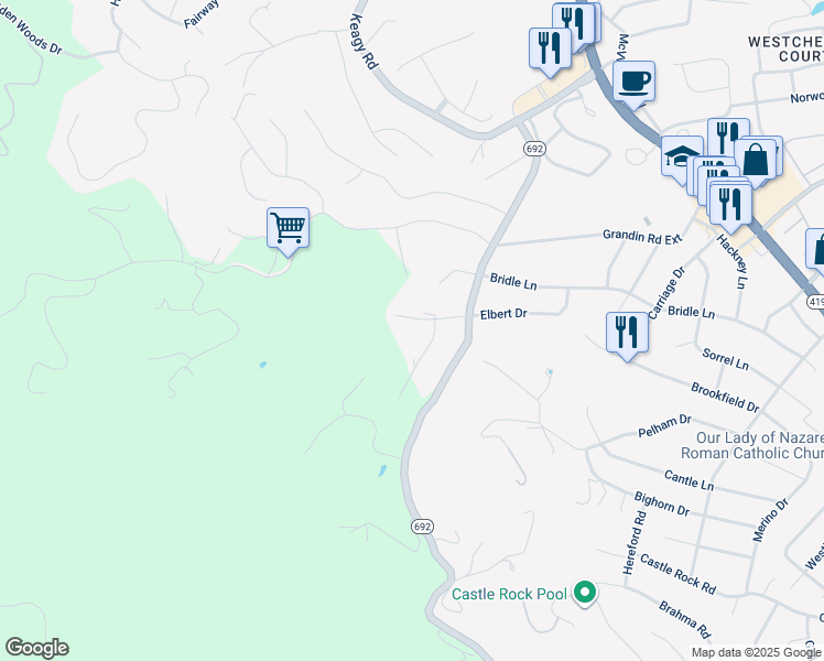 map of restaurants, bars, coffee shops, grocery stores, and more near 1723 Elbert Drive in Roanoke