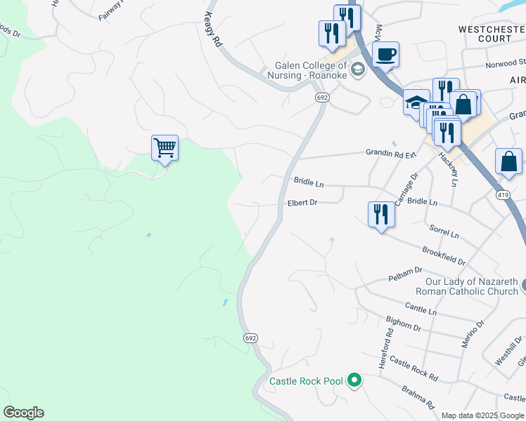map of restaurants, bars, coffee shops, grocery stores, and more near 1753 Elbert Drive in Roanoke