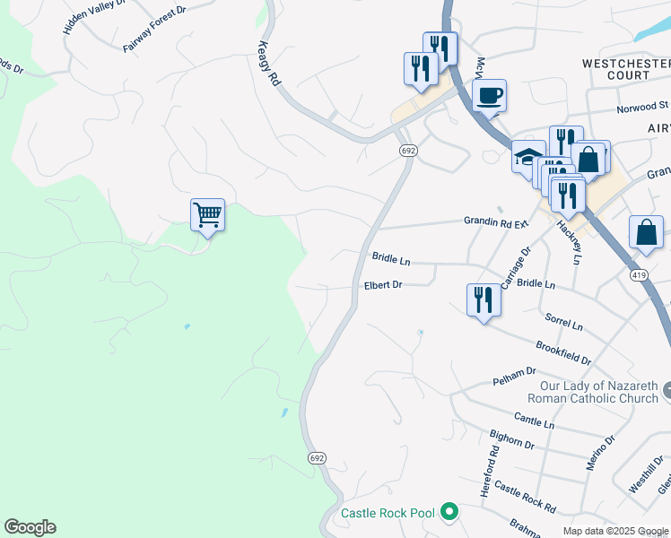 map of restaurants, bars, coffee shops, grocery stores, and more near 1707 Bridle Lane in Roanoke