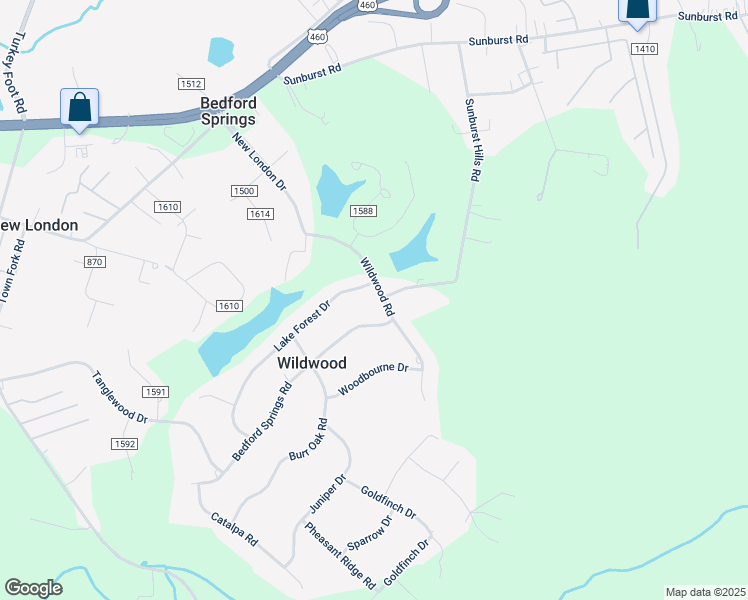 map of restaurants, bars, coffee shops, grocery stores, and more near 255 Wildwood Road in Lynchburg