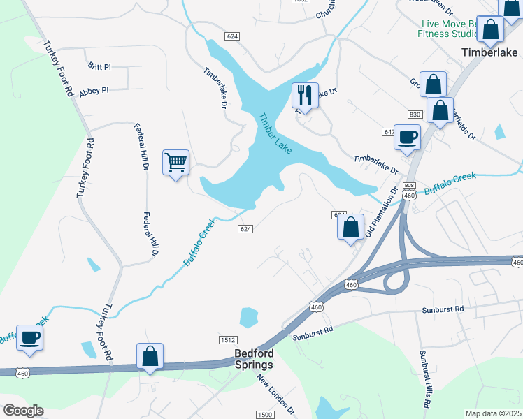 map of restaurants, bars, coffee shops, grocery stores, and more near 541 South Timberlake Drive in Lynchburg