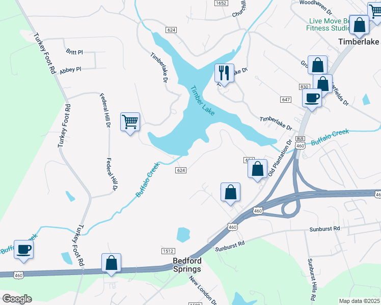 map of restaurants, bars, coffee shops, grocery stores, and more near 541 South Timberlake Drive in Lynchburg