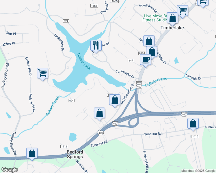 map of restaurants, bars, coffee shops, grocery stores, and more near 197 South Timberlake Drive in Lynchburg