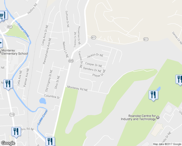 map of restaurants, bars, coffee shops, grocery stores, and more near 4646 Player Drive Northeast in Roanoke