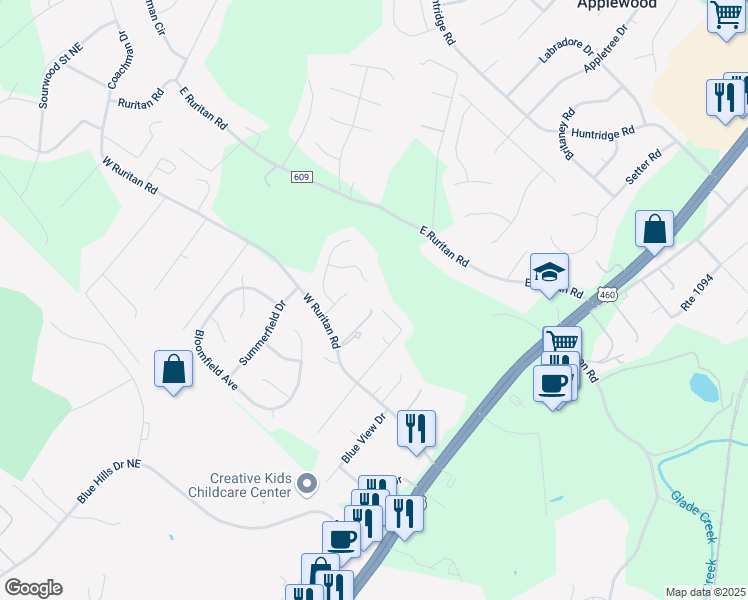 map of restaurants, bars, coffee shops, grocery stores, and more near 1717 Ashbury Ct in Roanoke