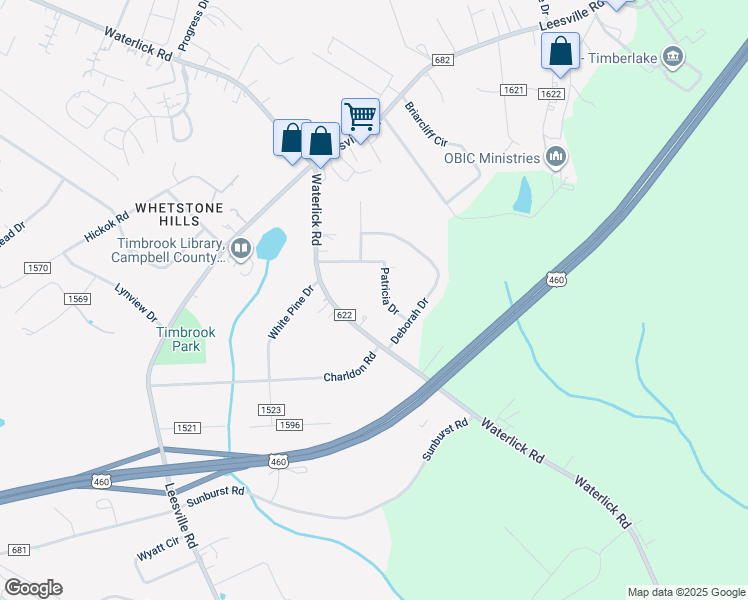 map of restaurants, bars, coffee shops, grocery stores, and more near 74 Patricia Drive in Lynchburg