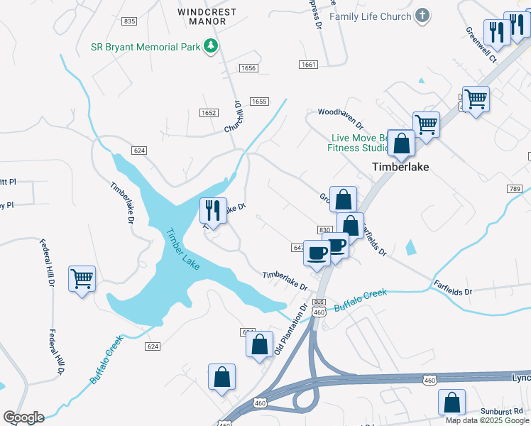 map of restaurants, bars, coffee shops, grocery stores, and more near 316 Mary Ann Drive in Lynchburg