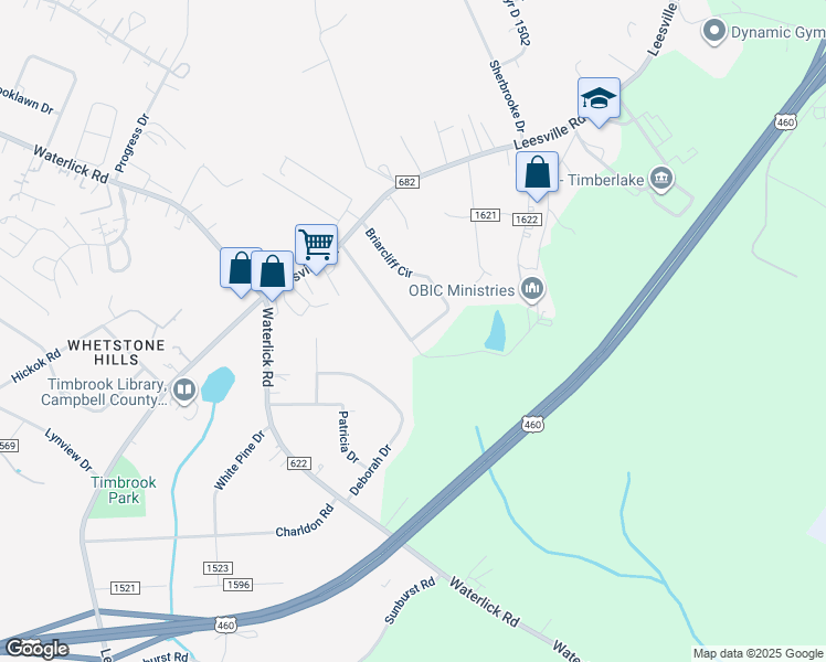 map of restaurants, bars, coffee shops, grocery stores, and more near 369 Briarcliff Circle in Lynchburg
