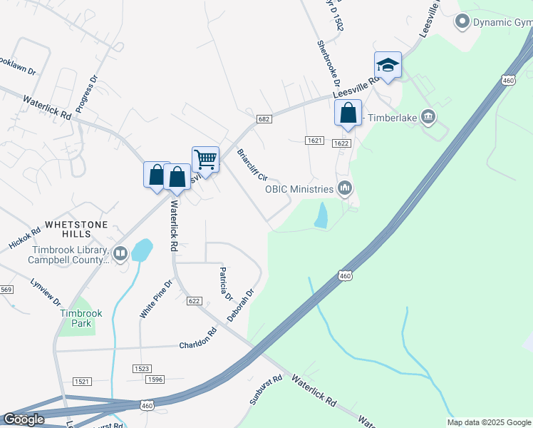 map of restaurants, bars, coffee shops, grocery stores, and more near 369 Briarcliff Circle in Lynchburg