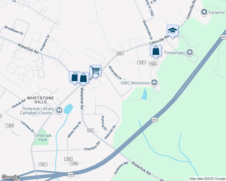 map of restaurants, bars, coffee shops, grocery stores, and more near 456 Briar Cliff Circle in Lynchburg