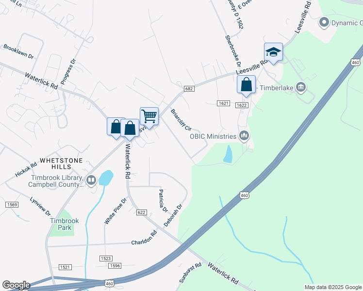 map of restaurants, bars, coffee shops, grocery stores, and more near 456 Briar Cliff Circle in Lynchburg