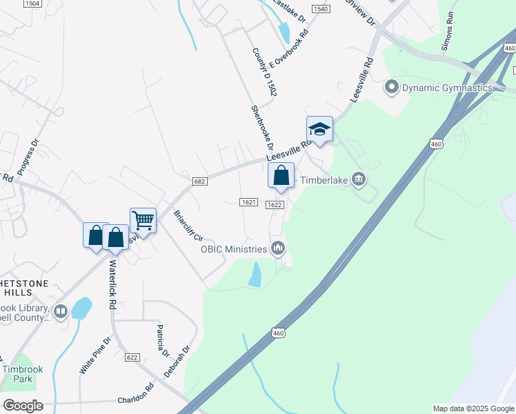 map of restaurants, bars, coffee shops, grocery stores, and more near 58 Lee Place in Lynchburg