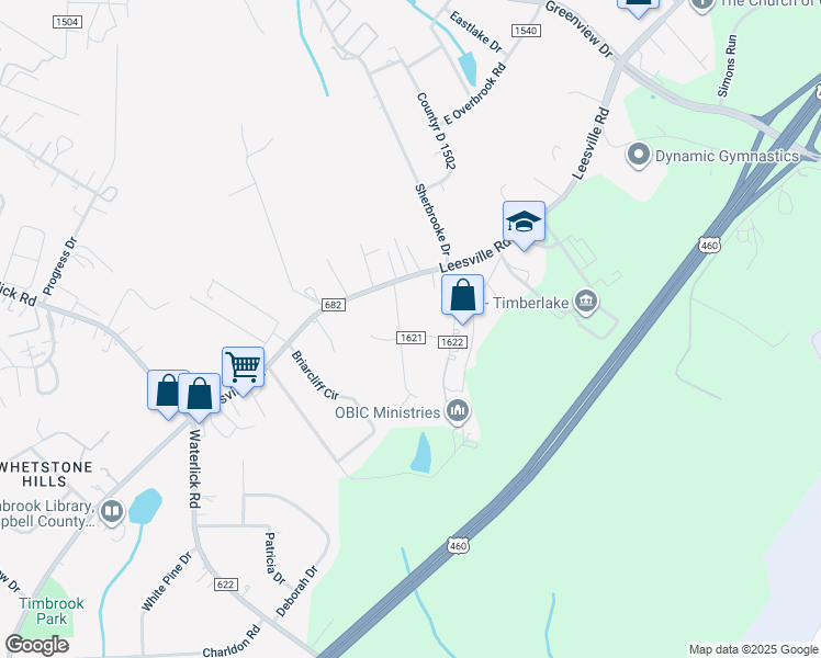 map of restaurants, bars, coffee shops, grocery stores, and more near 47 Lee Place in Lynchburg