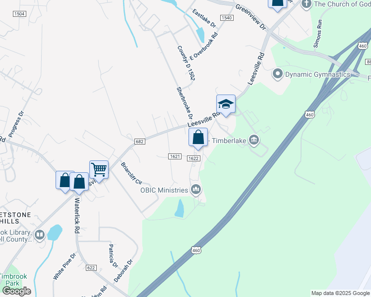 map of restaurants, bars, coffee shops, grocery stores, and more near 47 Lee Place in Lynchburg