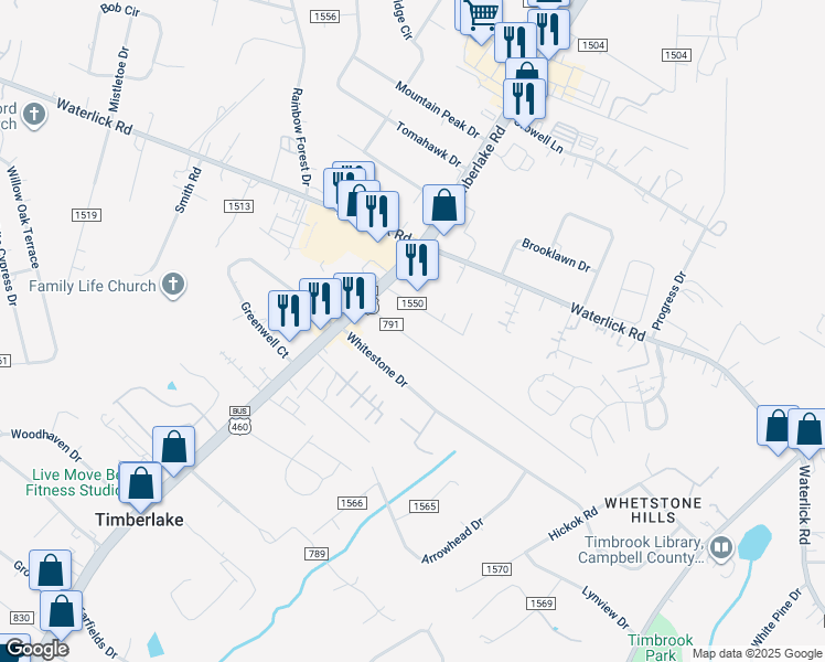 map of restaurants, bars, coffee shops, grocery stores, and more near 124 Homewood Drive in Lynchburg