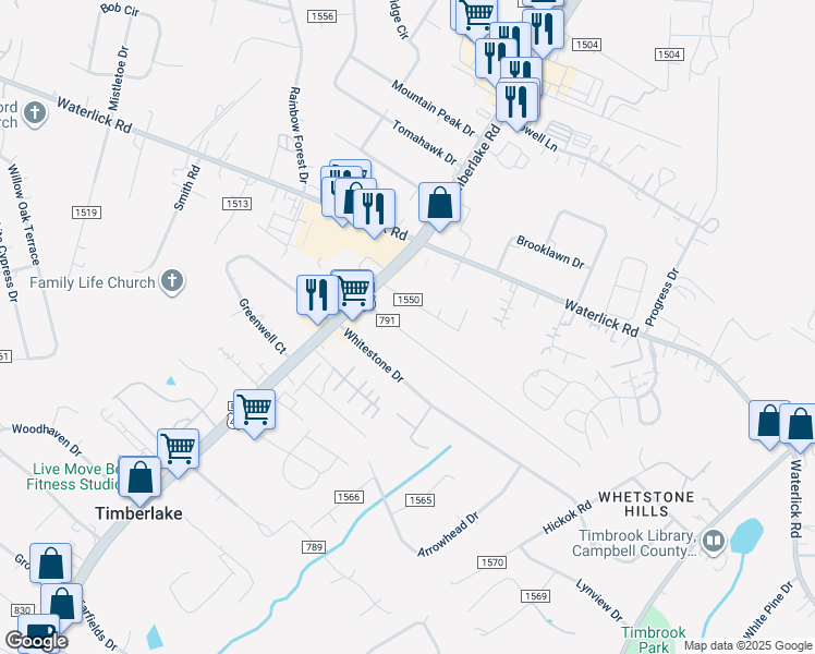 map of restaurants, bars, coffee shops, grocery stores, and more near 124 Homewood Drive in Lynchburg