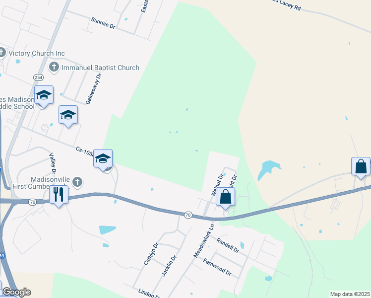 map of restaurants, bars, coffee shops, grocery stores, and more near 1280 Walnut Lane in Madisonville
