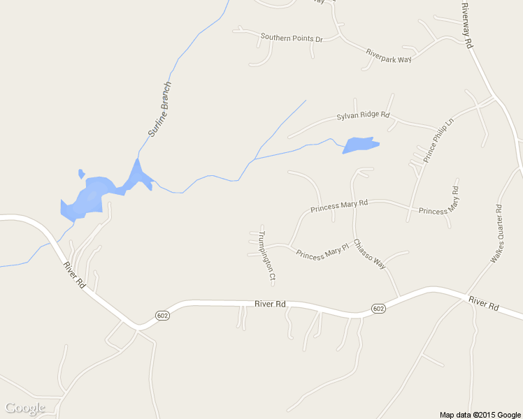 map of restaurants, bars, coffee shops, grocery stores, and more near 12300 Trumpington Court in Chesterfield