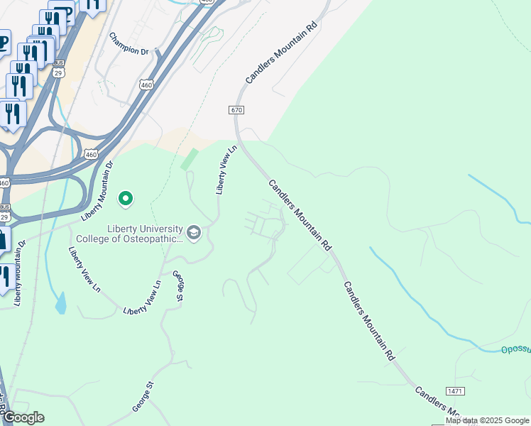 map of restaurants, bars, coffee shops, grocery stores, and more near Warner Rose Place in Lynchburg
