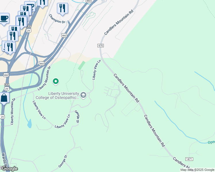 map of restaurants, bars, coffee shops, grocery stores, and more near 2-98 Warner Rose Place in Lynchburg