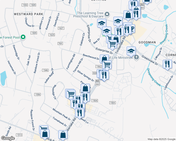 map of restaurants, bars, coffee shops, grocery stores, and more near 142 Tanzalon Drive in Lynchburg